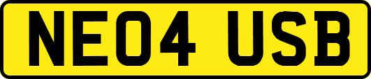 NE04USB