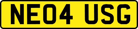 NE04USG