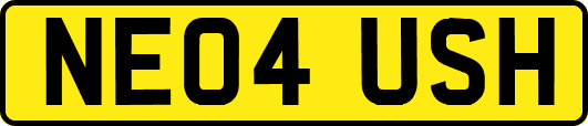 NE04USH