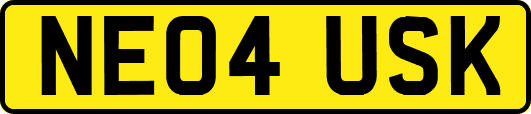 NE04USK