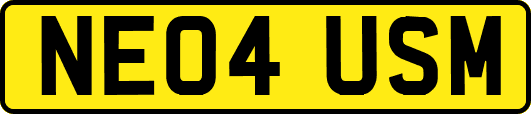 NE04USM