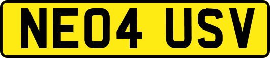 NE04USV