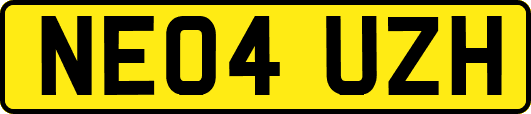 NE04UZH