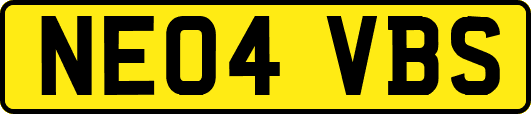 NE04VBS