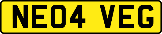 NE04VEG