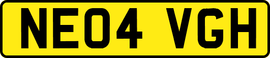 NE04VGH