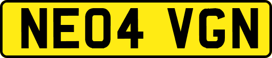 NE04VGN