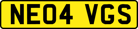 NE04VGS