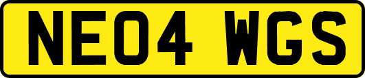 NE04WGS