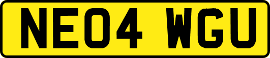 NE04WGU