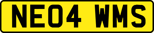 NE04WMS