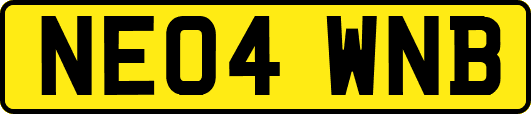 NE04WNB