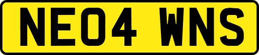 NE04WNS