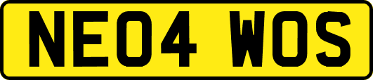 NE04WOS