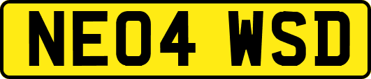 NE04WSD