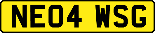NE04WSG