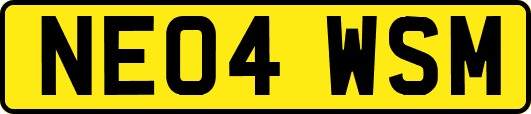 NE04WSM