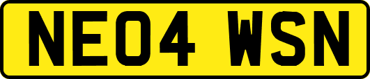 NE04WSN