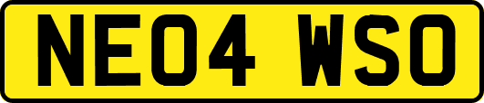 NE04WSO