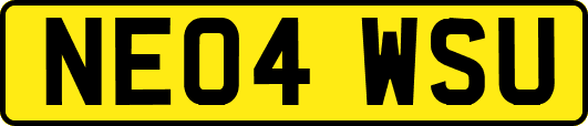 NE04WSU