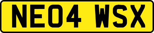 NE04WSX