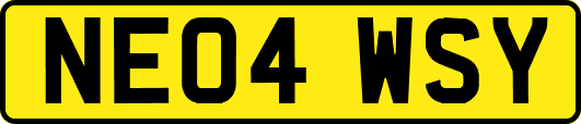 NE04WSY