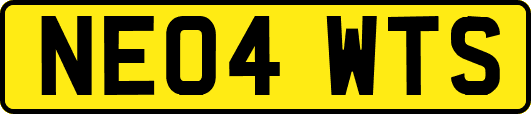 NE04WTS
