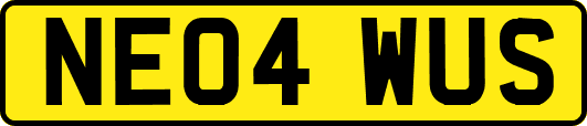 NE04WUS