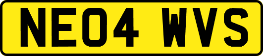 NE04WVS