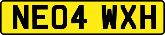 NE04WXH