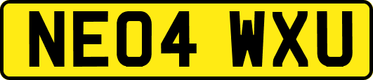 NE04WXU