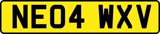 NE04WXV