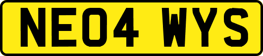 NE04WYS