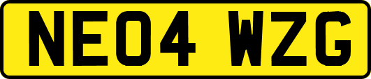NE04WZG