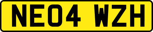 NE04WZH