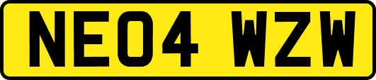 NE04WZW