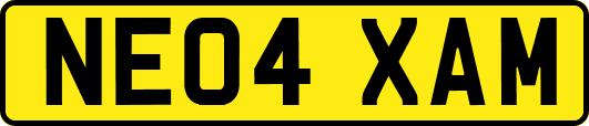 NE04XAM