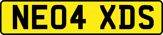 NE04XDS