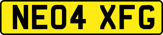 NE04XFG