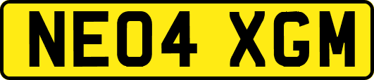 NE04XGM