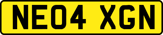 NE04XGN