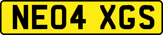 NE04XGS