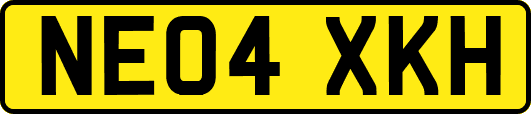 NE04XKH