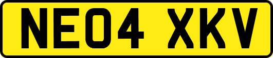 NE04XKV