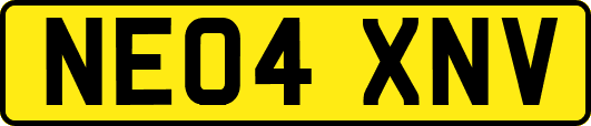 NE04XNV