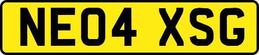 NE04XSG