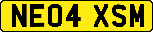 NE04XSM