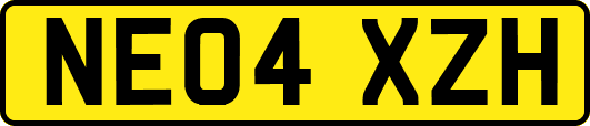 NE04XZH