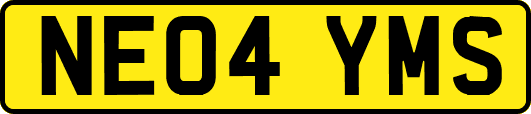 NE04YMS