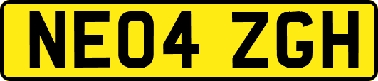NE04ZGH